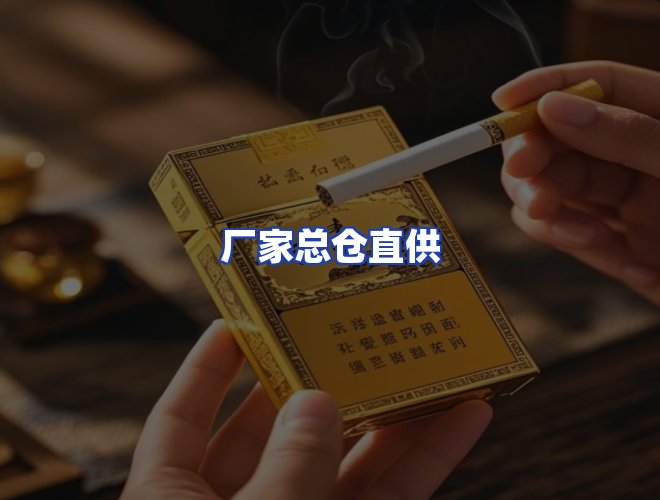 专业团队